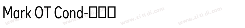 Mark OT Cond字体转换 Mark OT Cond字体转换